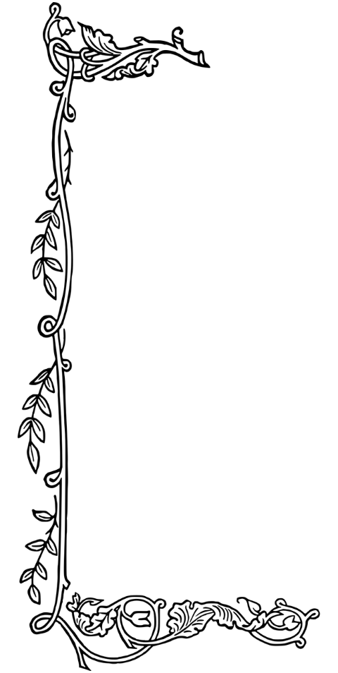 corner-border-flourish-line-art-7736817