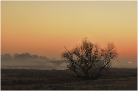 sunrise-blue-hour-morgenstimmung-4805839