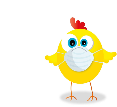 chicken-mask-corona-pandemic-4992228