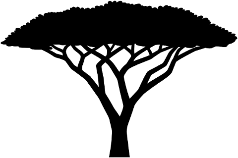 acacia-tree-silhouette-icon-9943324
