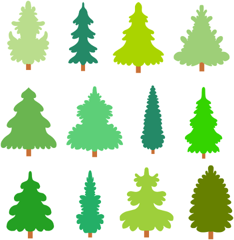 trees-tree-conifers-needles-strain-5553642
