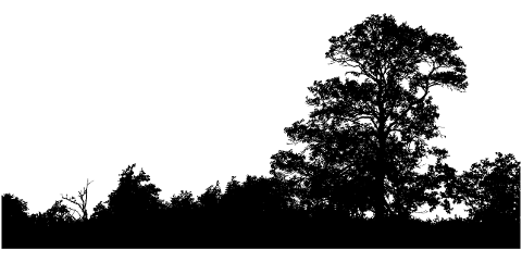 trees-landscape-silhouette-forest-4522464