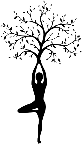 silhouette-women-tree-yoga-3613840