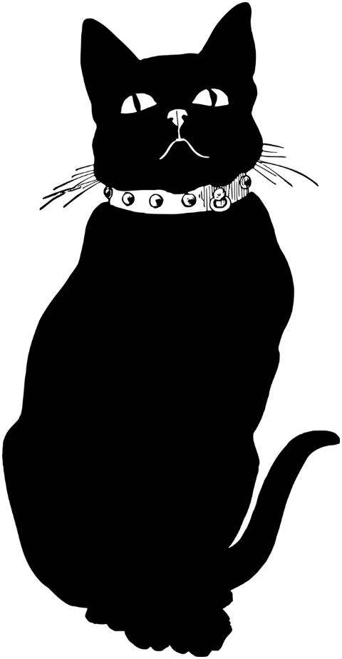 black-cat-animal-silhouette-7485738