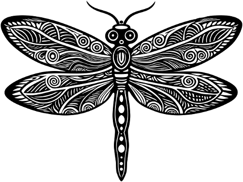 dragonfly-insect-wings-macro-8991544