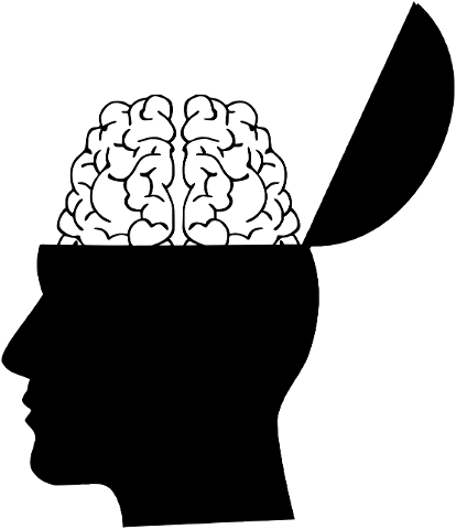 brain-head-silhouette-creativity-4142873