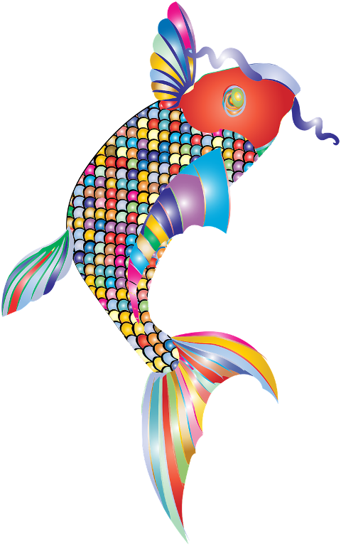fish-animal-colorful-scales-6548983