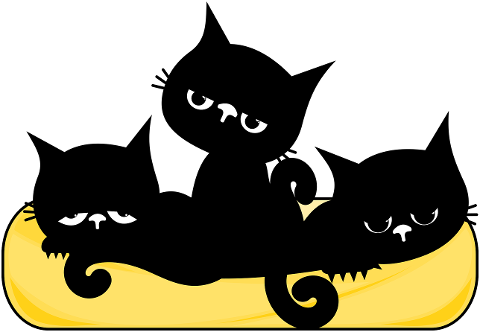 cats-kittens-feline-black-cats-8627808