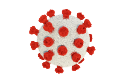 covid-19-coronavirus-virus-5196301