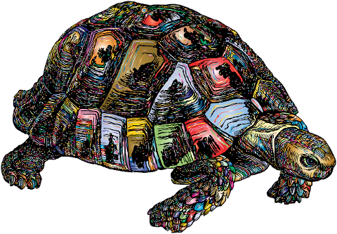 tortoise-animal-colorful-turtle-6393243