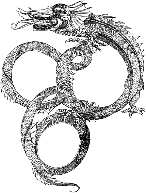 dragon-animal-creature-drake-beast-6810524