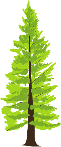 tree-pine-conifer-cartoon-icon-5624012
