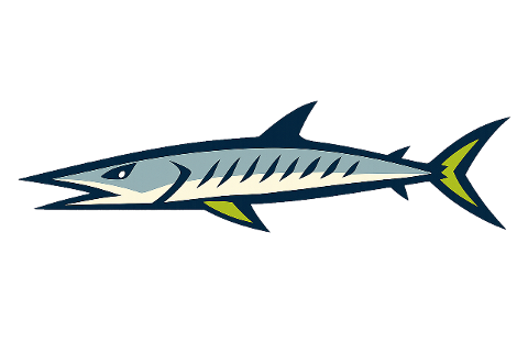 barracuda-fish-mascot-marine-life-10312144