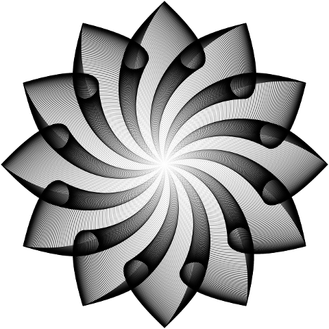 mandala-star-rosette-vortex-8613168