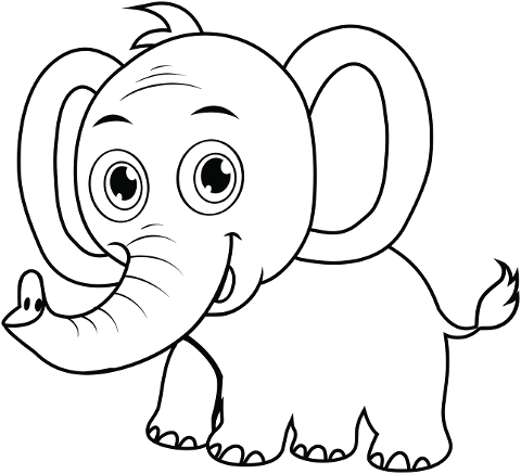 elephant-pachyderm-baby-animal-6387514