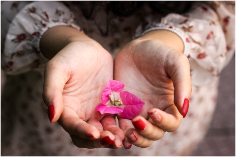 hands-girl-flowers-palms-6063129