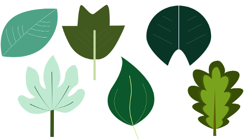 leaves-green-leaves-nature-plants-7092832