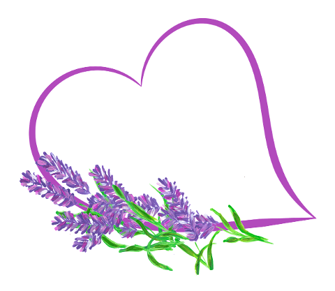 heart-love-lavender-lavender-heart-7679031