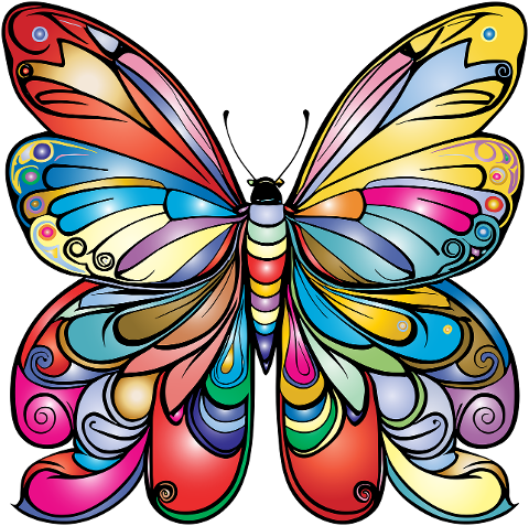 butterfly-insect-colorful-creative-8188383