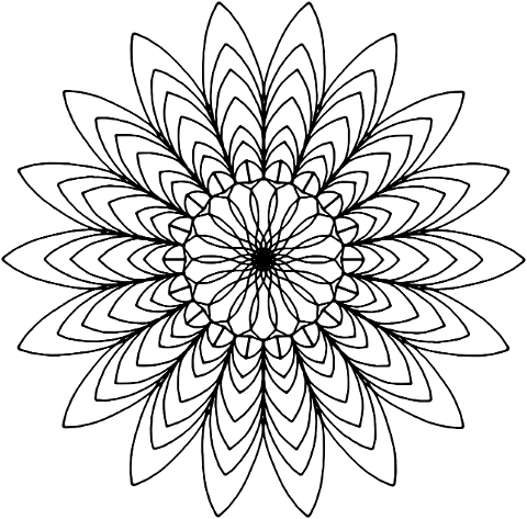 mandala-floral-art-art-line-art-7773259