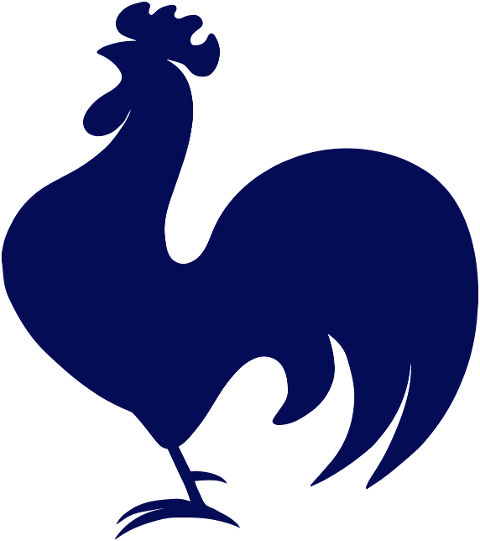 rooster-chicken-logo-poultry-bird-6557315