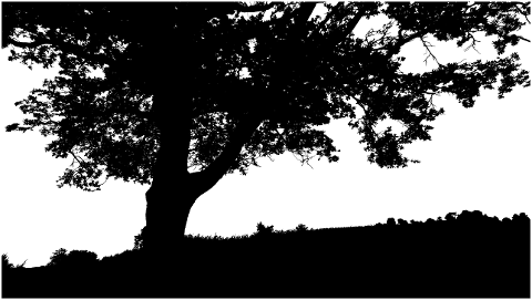 trees-landscape-silhouette-nature-8307474