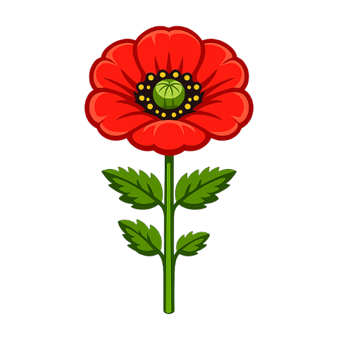 red-poppy-flower-petals-green-stem-10359450