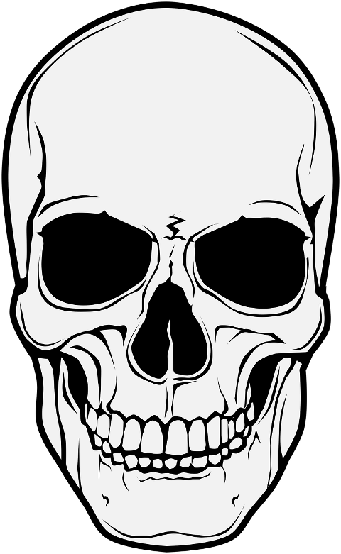 skull-horror-halloween-7320788