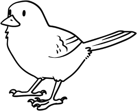 bird-chick-line-art-animal-6158672