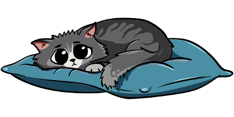 cat-pillow-animal-cute-sadness-9234807