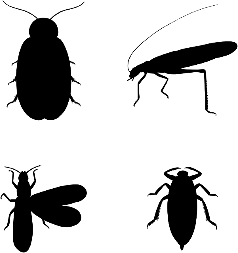 insects-bugs-animals-silhouette-7305438