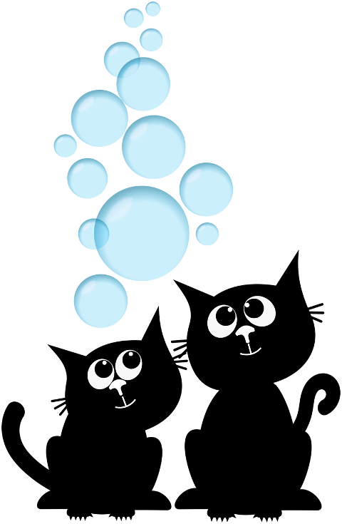 cat-kitten-black-cat-bubbles-8841020