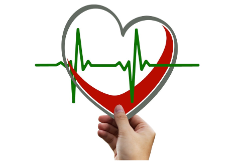 heart-health-pulse-heart-rate-4885310