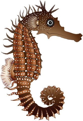 seahorse-brown-nature-animal-5381918