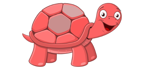 turtle-animal-nature-red-turtle-4944428