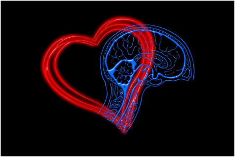 heart-mind-emotional-intelligence-4682756