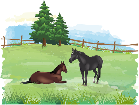 horses-meadow-pasture-grassland-5467315