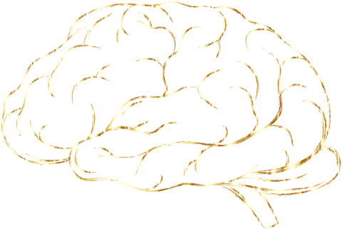 brain-think-psychology-a-i-ai-5159706