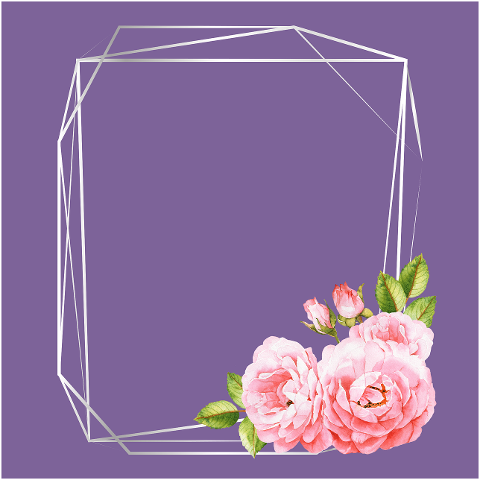 flowers-frame-background-6626938
