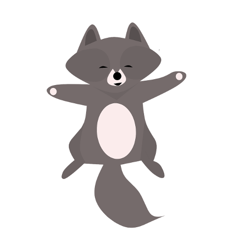 raccoon-smiling-cartoon-animal-4503365