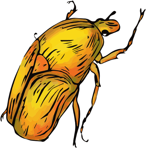 yellow-beetle-nature-insect-bug-4863345
