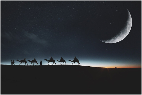 landscape-fantasy-moon-camels-sky-5009868