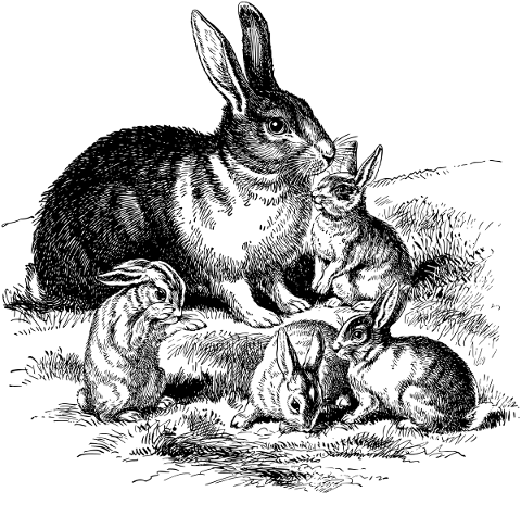 animal-rabbit-puppies-easter-4779473