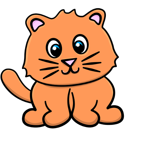 cat-kitten-lion-tail-kitty-animal-5344423
