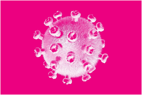 covid-19-coronavirus-virus-5196304