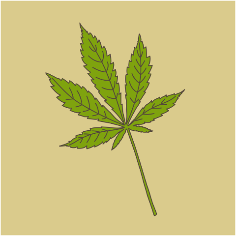 marijuana-hemp-plant-cannabis-weed-5126511