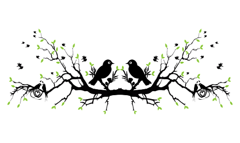 tree-bird-spring-branch-nature-4930014