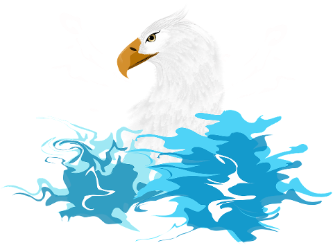 bird-eagle-symbol-predator-totem-4422453