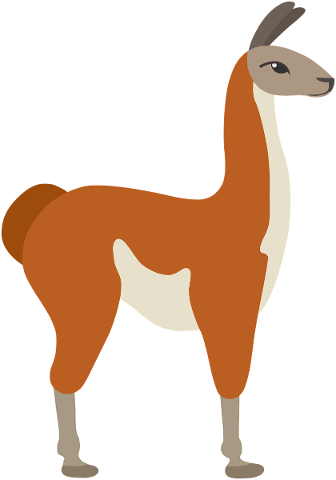 guanaco-animal-chile-lama-mammal-5117901
