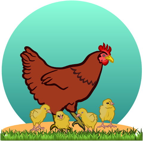 hen-hen-with-chicks-chicks-chicken-4462636